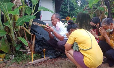 แห่ส่องเลขเด็ดสุดชาวบ้านแห่ดูกล้วยออกลูกกลางลำต้น