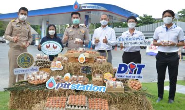 พณ.จับมือปั๊มน้ำมันแจกคนเติม แก้ปัญหาไข่ไก่ล้นตลาด