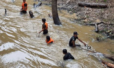 ป่าไม้ทับลาน-เขาใหญ่ ระดมเก็บสิ่งกีดขวางป้องกันน้ำท่วม