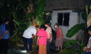 แฟนคลับส่องเลขเด็ด วินาทีสุดท้ายจากกล้วยตานีออกเครือกลางลำต้น