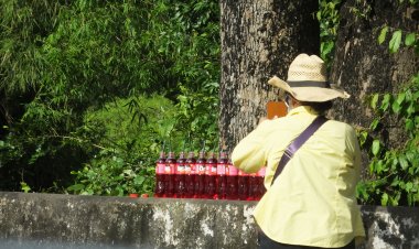 แห่ส่องเลขเด็ดก่อนหวยออก  ศาลเจ้าพ่อกุ้ง-กั้ง  (เจ้าพ่อห้วย)