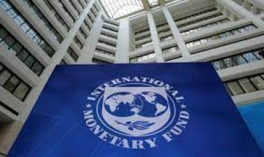“World Economic Outlook” ของกองทุนการเงินระหว่างประเทศ(IMF) ระบุว่าในปี  (GDP) ของเวียดนามจะเติบโตอยู่ประมาณร้อยละ 3.8 สูงกว่ามาเลเซีย ไทย ฟิลิปปินส์ และอินโดนีเซีย