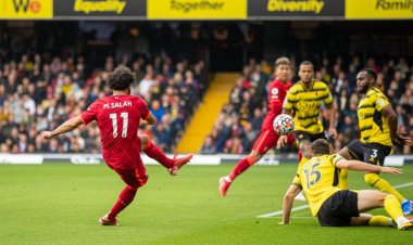 "ฟีร์มิโน่"แฮตทริกพา "หงส์แดง"บุกจิก"แตนอาละวาด"คาถิ่น 5-0