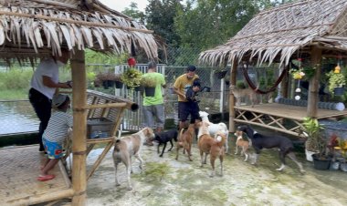 ตลกบ้าหมาเดือนรัอนหนักไม่มีงานไม่มีเงินจ่ายค่าแรงคนงานทำกรงสุนัขและอาหารน้องหมาวอนผู้ใจบุญบริจาคข้าวสารอาหารเม็ดน้องหมา หวั่นจะตายไม่หยุด