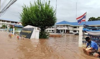 เกษตรสมบูรณ์ชัยภูมิยังอ่วมหนักเป็นวันที่ 2 หลังเกิดพายุ“คมปาซุ”ถล่ม (มีคลิป)