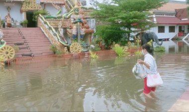 ประชาชนเดินลุยน้ำไปทำบุญวันออกพรรษา