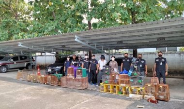 ปทส. นำกำลังเจ้าหน้าที่บุกอพาร์ตเมนต์ย่านรัชดาฯ รวบพ่อค้าขาย นกกรงหัวจุก ผ่านทางเฟซบุ๊ก พบนกของกลางกว่า 20 ตัว คุมตัวดำเนินคดี