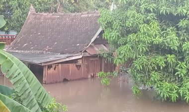 อยุธยาน้ำท่วมปี 64 ล่าสุด 14 อำเภอ 136 ตำบล 809 หมู่บ้าน