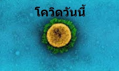 โควิดวันนี้ ตัวเลขยังเฉียดหมื่น  ตายเพิ่ม 66 ราย เสียชีวิตสะสม 18,625 ราย