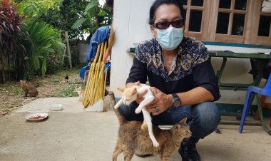 องค์การสวัสดิภาพสัตว์ รุดเข้าไถ่ชีวิตน้องหมาถูกขายกิน-แม่แมว ลูกแมว ถูกปล่อยทิ้งกว่า 30 ชีวิต (มีคลิป)