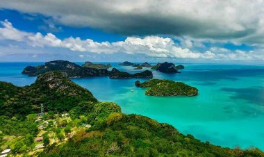 เอกชนเด้งรับรัฐบาลเปิด 46 ประเทศเข้าไทย เชื่อปีหน้าศก.เริ่มฟื้นตัว