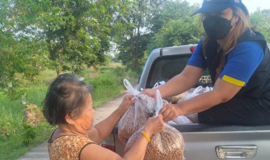 ทำดีต้องชม  นายอำเภอนครหลวง  เร่งช่วยเหลือ หมาแมวในชุมชนพื้นที่ถูกน้ำท่วม
