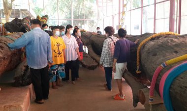 นักเสี่ยงโชคแห่ขอโชคลาภ 3 เจ้าแม่ตะเคือนวัดเขาช่องลมเมืองอุทัยธานี