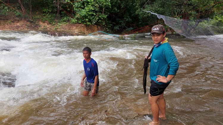 ฝนมาปลามากับน้ำ!คนอำนาจเจริญพลิกวิกฤติจับปลาขายรายได้วันละ2พันบาท