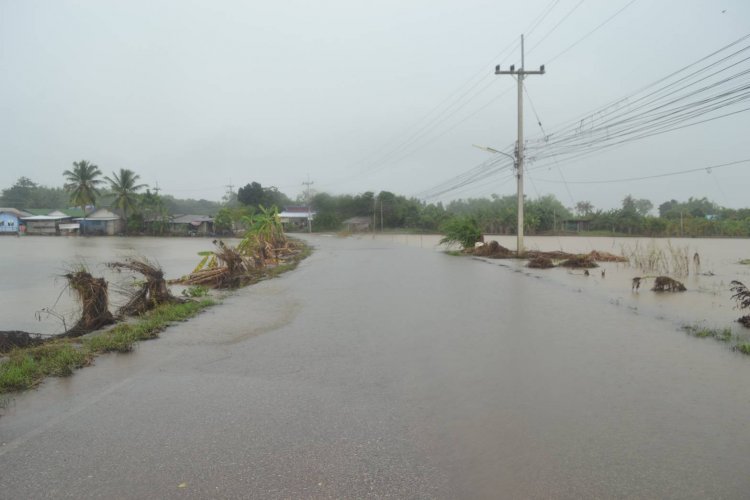 ฝนตกหนัก มวลน้ำไหลสมทบลำน้ำชีเพิ่มระดับไม่หยุด หวั่นเกิดน้ำท่วมเขว้าเมืองชัยภูมิรอบ2