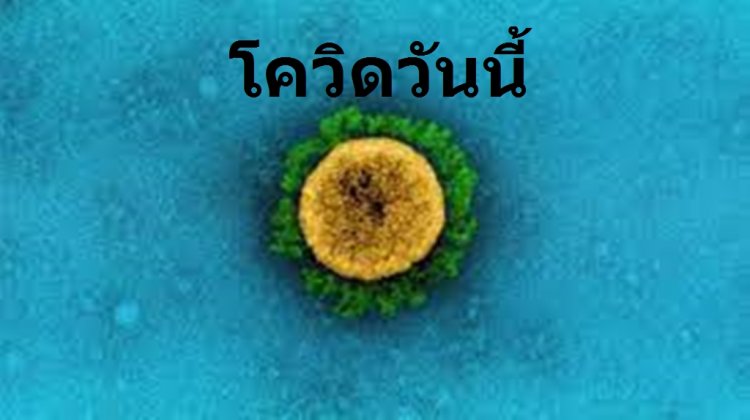 โควิดวันนี้ ตัวเลขยังเฉียดหมื่น  ตายเพิ่ม 66 ราย เสียชีวิตสะสม 18,625 ราย