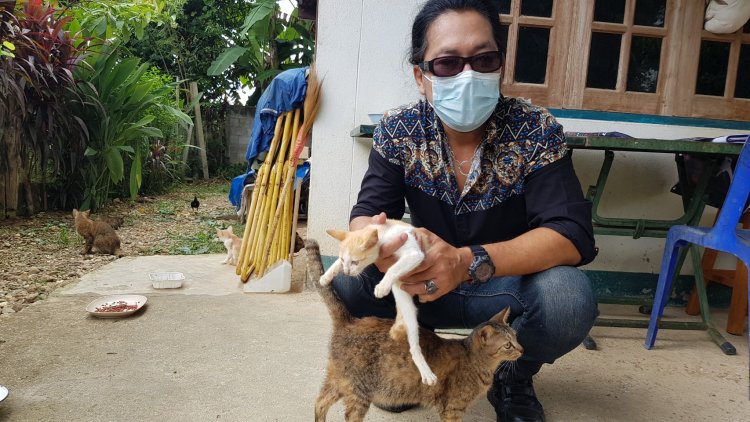 องค์การสวัสดิภาพสัตว์ รุดเข้าไถ่ชีวิตน้องหมาถูกขายกิน-แม่แมว ลูกแมว ถูกปล่อยทิ้งกว่า 30 ชีวิต (มีคลิป)