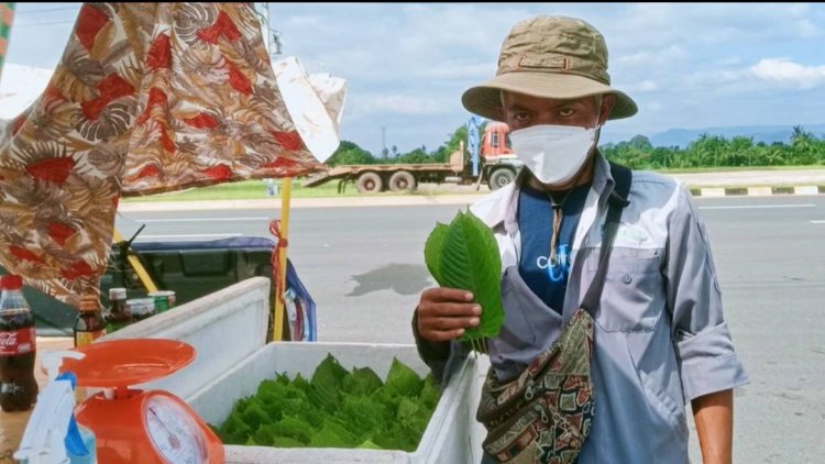 พ่อค้าปราจีนบุรีพลิกวิกฤติโควิดขายใบกระทุ่มสร้างรายได้เดือนละ2หมื่นบาท(มีคลิป)