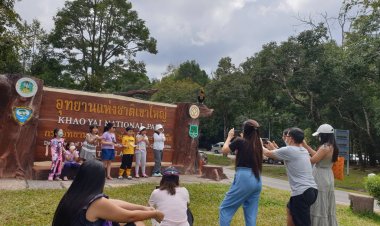 เปิดเขาใหญ่ทุกจุดรับนักท่องเที่ยวสัมผัสลมหนาวช่วงไฮซีซั่น (มีคลิป)