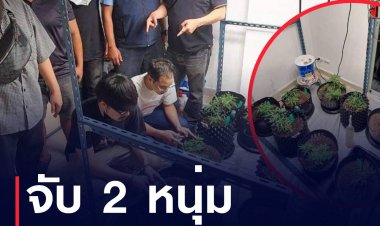 ตร.จับ 2 หนุ่มตกงานปลูกกัญชาขายออนไลน์
