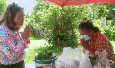 ชีวิตยิ่งกว่านิยาย!สาวบ่อทองต้องเช่าบ้านตัวเองอยู่บางวันไม่มีข้าวกิน(มีคลิป)