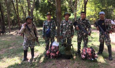 ศรีสะเกษลุยจับกุมแก๊งมอดไม้ทำลายป่าภูสิงห์