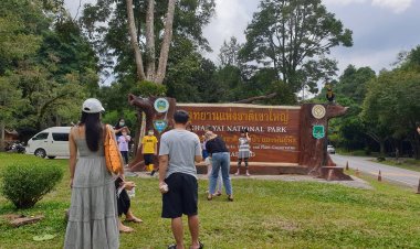เขาใหญ่คึกคัก แห่กางเต้นท์รับหนาววันหยุด ส่งท้ายปลายฝน