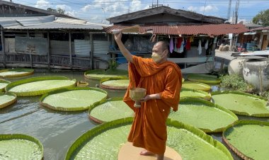 “สวนบัวกระด้งลุงจำรัส “สถานที่ท่องเที่ยวและแหล่งเรียนรู้แห่งใหม่เปิดให้เยี่ยมชมแล้ว