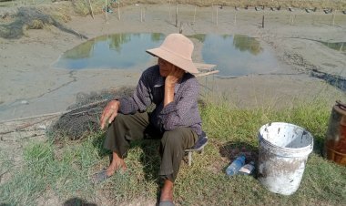 เกษตรกรโคราชขาดทุนยับ!น้ำลดปลาเลี้ยงว่ายหนีไปกับสายน้ำยกบ่อ