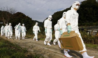 กลับมาระบาดอีกระลอก!ไข้หวัดนกเล่นงานหนักทั้งในยุโรปและเอเชีย