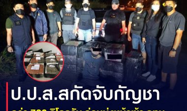 ป.ป.ส. สกัดจับกัญชากว่า 700 กิโลกรัม ก่อนมุ่งหน้าเข้า กทม.