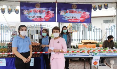 พาณิชย์ปทุมฯขนสินค้าลดราคาถูกช่วยปชช.ขายหมูเนื้อแดงกก.ละ130 (มีคลิป)
