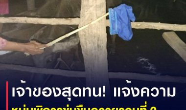 คือมันยั้วะมาก!! เจ้าของควายยันเอาเรื่อง หนุ่มสติไม่ดีแอบมาข่มขืนควายที่เลี้ยงไว้เป็นรอบที่ 2 แล้ว