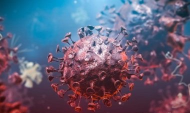 หลายประเทศยุโรปพบผู้ติดเชือโควิดสายพันธุ์ใหม่ - ไทยยังไม่พบผลกระทบ