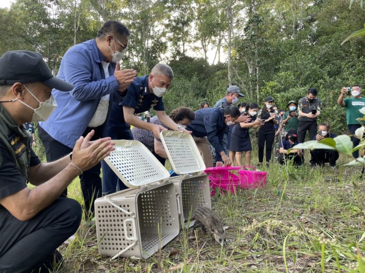 อุทยานฯเขาใหญ่ปล่อยสัตว์ป่าคืนสู่อ้อมกอดธรรมชาติ