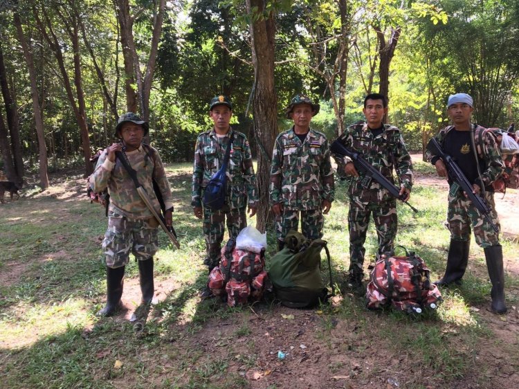 ศรีสะเกษลุยจับกุมแก๊งมอดไม้ทำลายป่าภูสิงห์