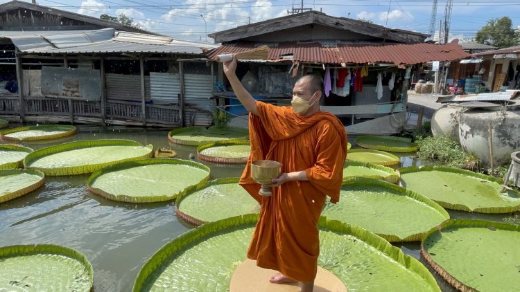 “สวนบัวกระด้งลุงจำรัส “สถานที่ท่องเที่ยวและแหล่งเรียนรู้แห่งใหม่เปิดให้เยี่ยมชมแล้ว