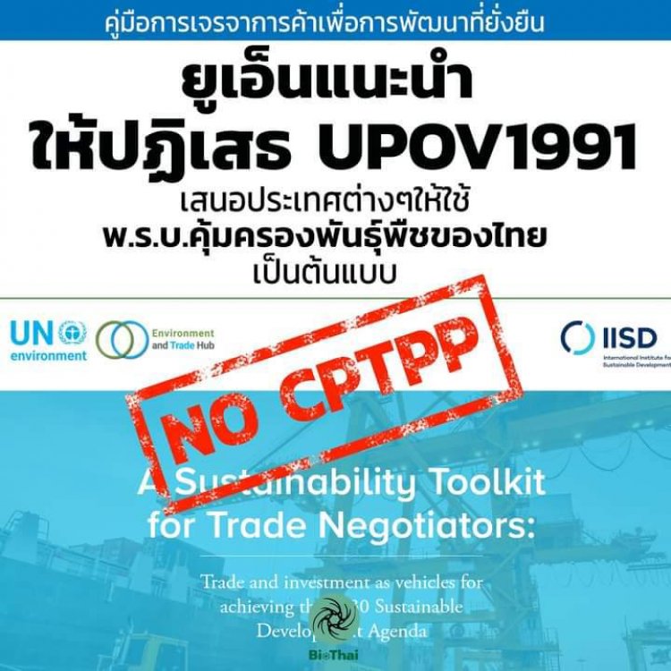 UN แนะนำให้ปฏิเสธเข้าร่วม  UPOV 1991  - ให้ยึดพรบ.คุ้มครองพันธุ์พืชของไทยปี  2542