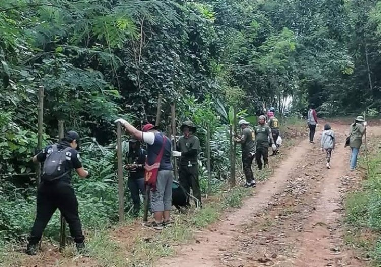 เขาใหญ่ลุยสร้างแนวรั้วป้องกันสัตว์ป่าออกหากินนอกพื้นที่ป่าอนุรักษ์ (มีคลิป)