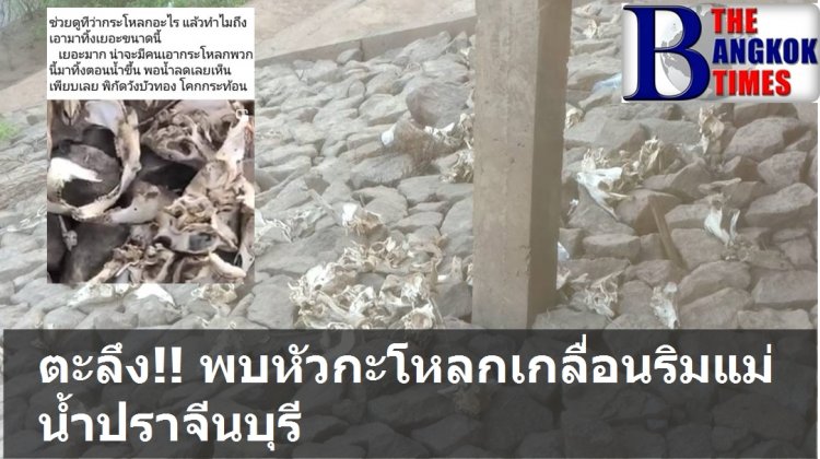 ตะลึง!! พบหัวกะโหลกเกลื่อนริมแม่น้ำปราจีนบุรี