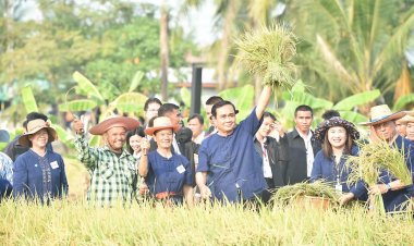 ธ.ก.ส.ดีเดย์โอนเงินประกันรายได้เกษตรกรทั่วไทยเริ่ม 9 ธ.ค.นี้