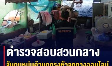 ตำรวจสอบสวนกลาง โดย บก.ปทส. จับกุมหนุ่มค้านกกรงหัวจุกทางออนไลน์