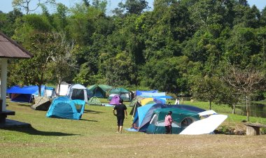 วันหยุดยาว!นักท่องเที่ยวหมื่นกว่าคนแห่โต้ลมหนาวเขาใหญ่ (มีคลิป)