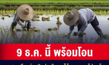 ธ.ก.ส. ยืนยัน จ่ายเงินประกันรายได้เกษตรกรผู้ปลูกข้าว 9 ธ.ค.นี้
