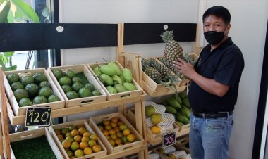 ผ่าแผนธุรกิจ Mr. fruit   ร้านผลไม้ออนไลน์ต้นแบบสมุทรปราการ