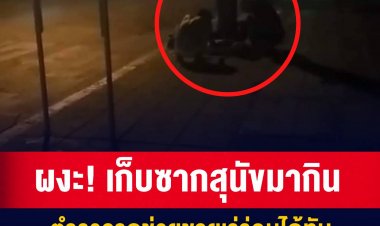 ผงะ! ชายเร่ร่อนเมาเหล้าเก็บซากสุนัขมากิน
