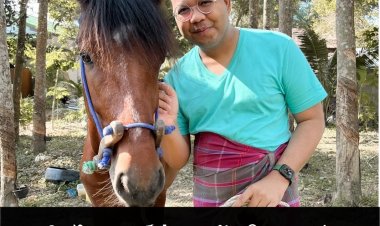 ทิดไพรวัลย์ฟาดกลับซินแสเข่ง ฤกษ์สึกไม่สึกมีหรือเปล่าไม่รู้นะครับ แต่ฤกษ์เสือกเห็นได้โดยทั่วไป