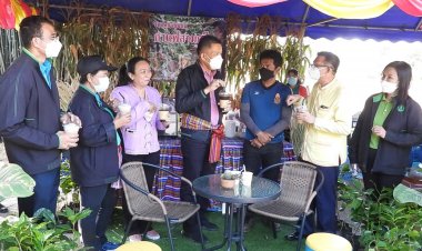 กรมส่งเสริมการเกษตรชูโมเดล ยกระดับ แปลงใหญ่ด้วยเกษตรสมัยใหม่ (มีคลิป)