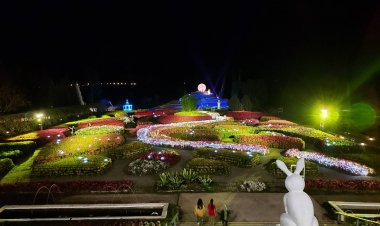 อลังการ แสง สี เสียง The Flora Park