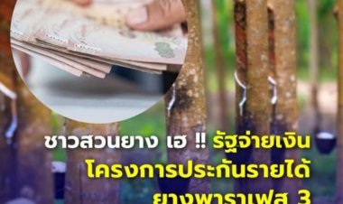 ชาวสวนยางเฮ! รัฐบาลจ่ายเงิน “โครงการประกันรายได้ชาวสวนยาง เฟส 3” ล็อตแรกแล้วกว่า 1.4 พันล้านบาท